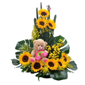 sunflower teddy