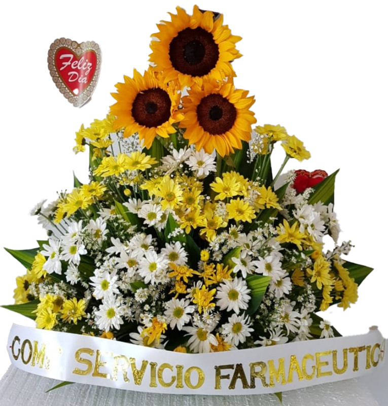 Pie de ataúd sunflower