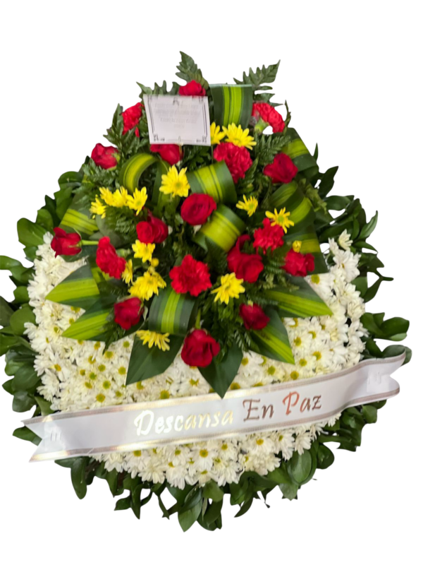 Corona perpetua
