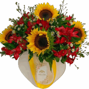 Caja girasol