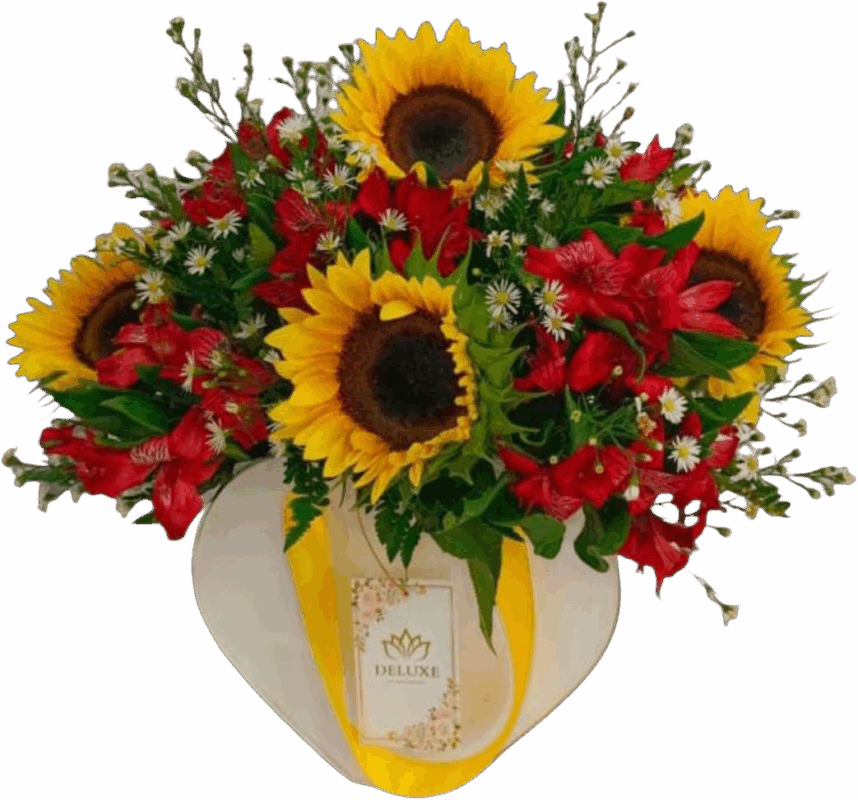 Caja girasol